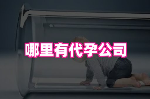 长春助孕网站 1