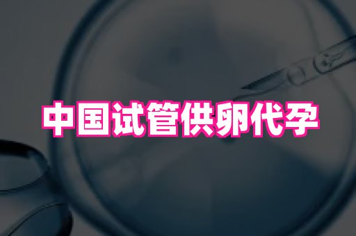 长春助孕网站 4